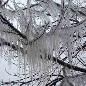 Not Your Normal What-I’m-Thankful-For List Image